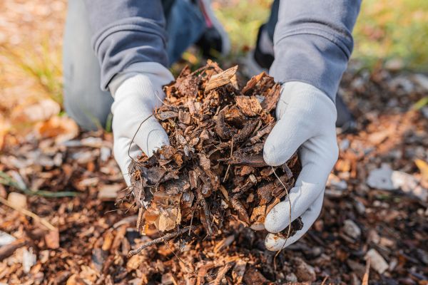 Shredded Mulch Installation in Merrillville