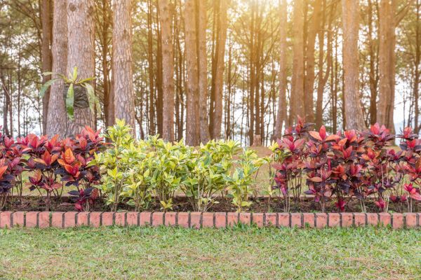 Small Garden Landscaping in Merrillville