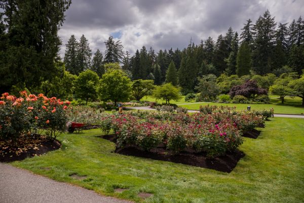 Flower Garden Landscaping in Merrillville