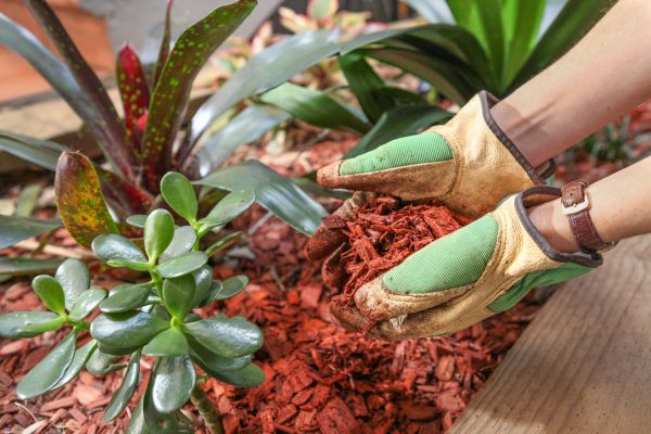 Cedar Mulch Installation in Merrillville
