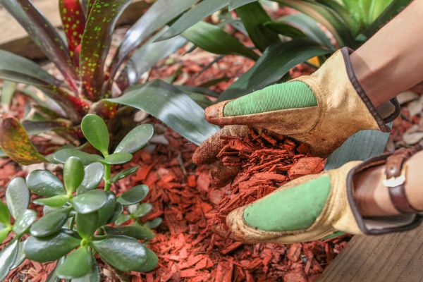 Residential Mulching in Merrillville