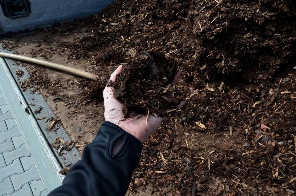 Condo Mulching in Merrillville