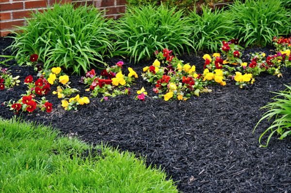 Apartment Mulching in Merrillville