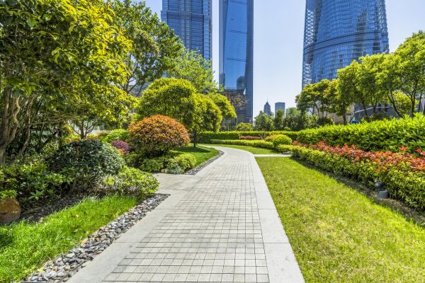 Commercial Landscaping in Merrillville