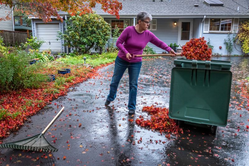 Leaf-Free Driveway