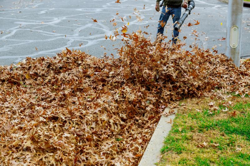 Community Leaf Maintenance